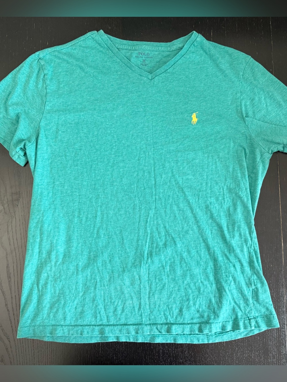 Polo Ralph Lauren Men's V-Neck T-Shirt in Teal with Yellow Pony